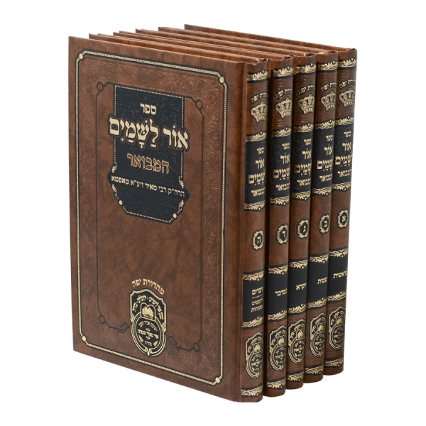 הרה"ק רבי מאיר הלוי מאפטא זצ"ל