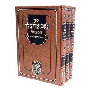 הרה"ק הרבי ר' אלימלך מליזנסק זיע"א