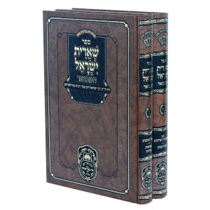 הרה"ק רבי ישראל דוב בער מווילעדניק זי"ע