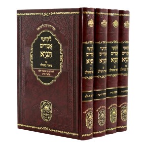 הרה"ק רבי שניאור זלמן מלאדי זי"ע