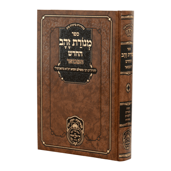 הרה"ק הרבי ר' משולם זוסיא מאניפולי זיע"א