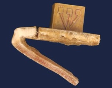 קיצור שלחן ערוך הִלְכוֹת תְּפִלִּין (סי' י' המשך סעיף א)