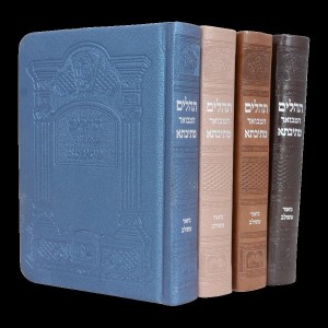 סגולה נפלאה – ב' פעמים תהלים בליל ראש השנה