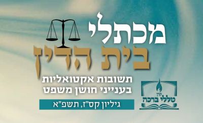 • גבולות החיוב של לווה •