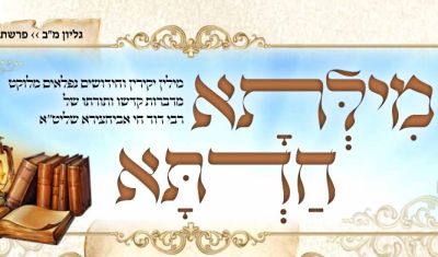 מילתא חדתא - פנחס תשפ"ב