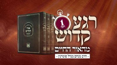 רגע קדוש מהאור החיים - פרשת בלק יום א'