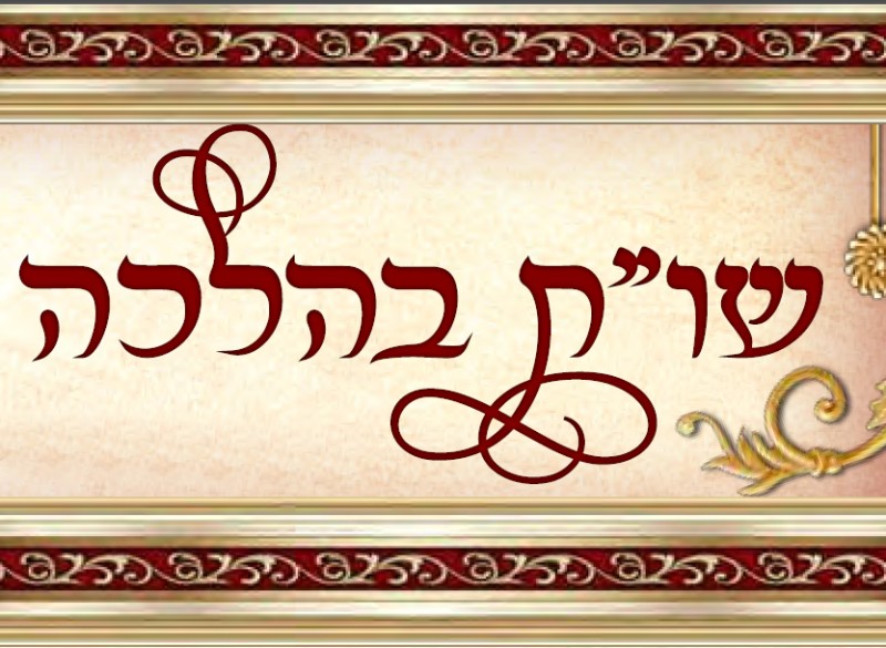 עלון 'שו"ת בהלכה' תזריע מצורע תשפ"ה