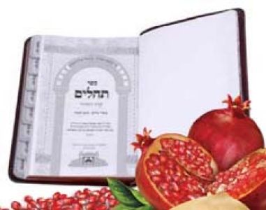 סגולה נפלאה – ב' פעמים תהלים בליל ראש השנה